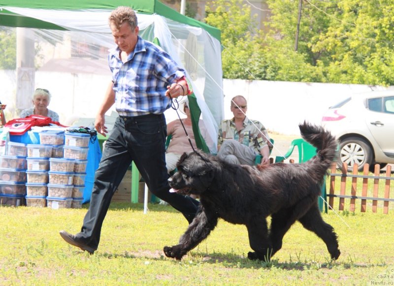 Фотография № 130636