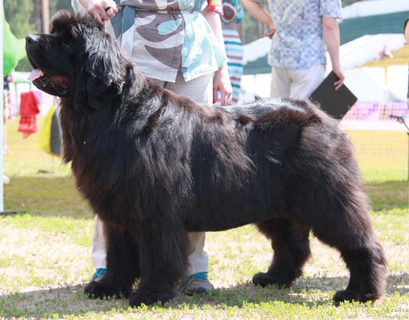 Фотография № 130642