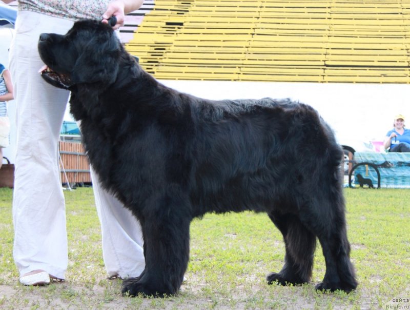 Фотография № 130646