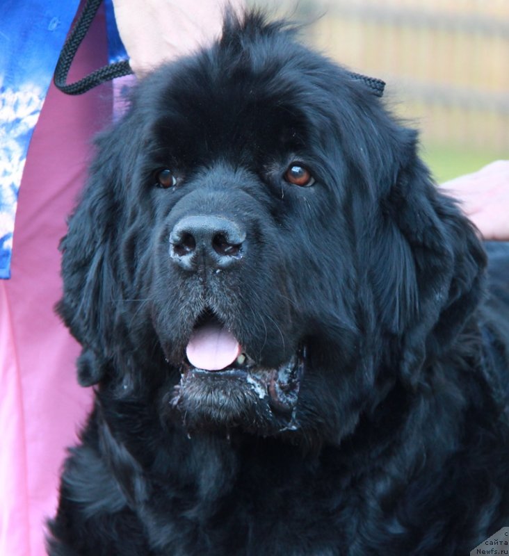 Фотография № 130649