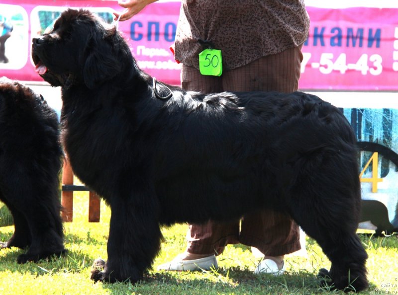 Фотография № 130651