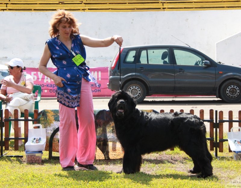 Фотография № 130653