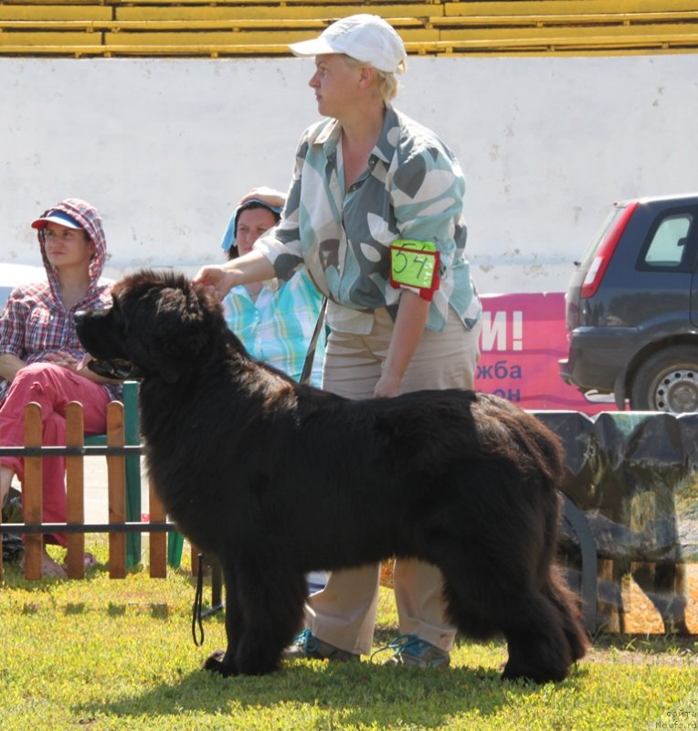 Фотография № 130662