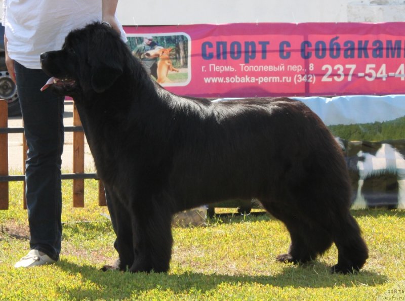 Фотография № 130663