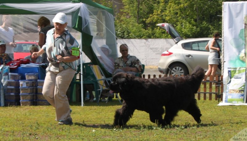 Фотография № 130665