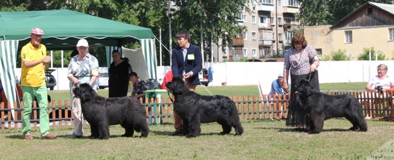 Фотография № 130672