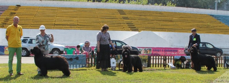 Фотография № 130675