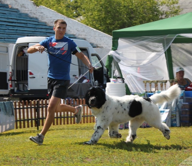 Фотография № 130684