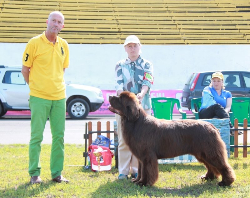 Фотография № 130694