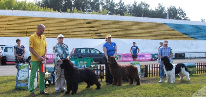 Фотография № 130698