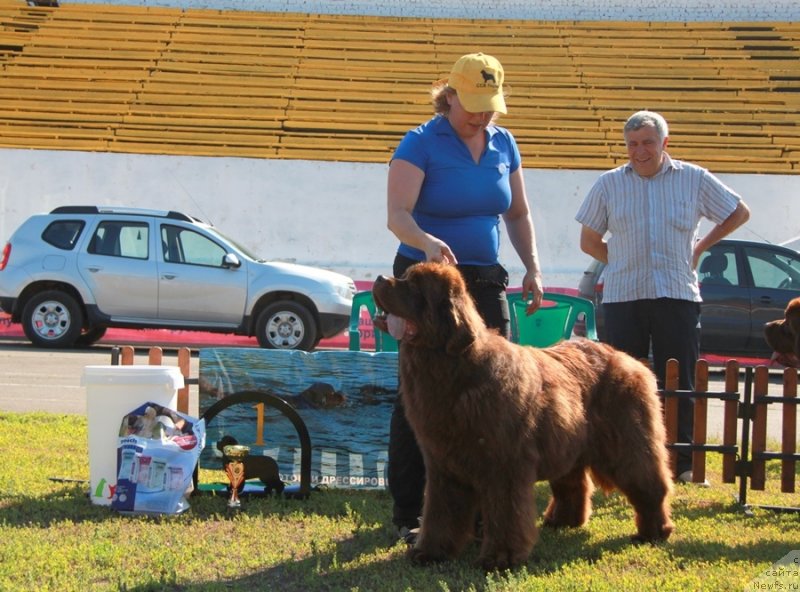 Фотография № 130702