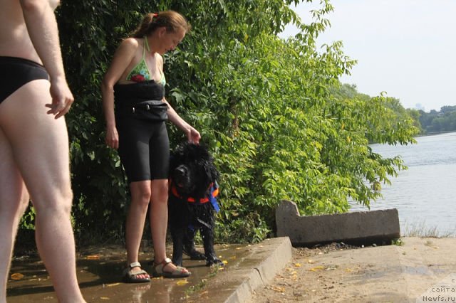 Фотография № 130703