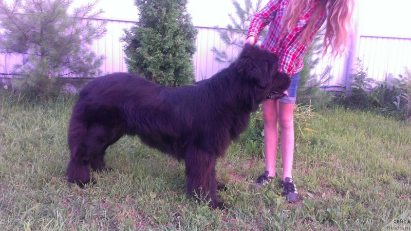 Фотография № 130748