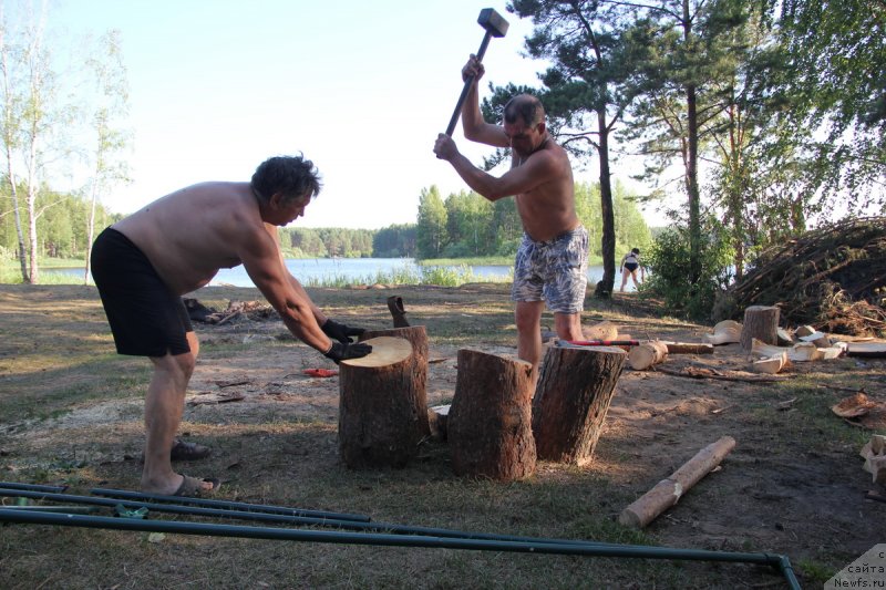 Фотография № 130778