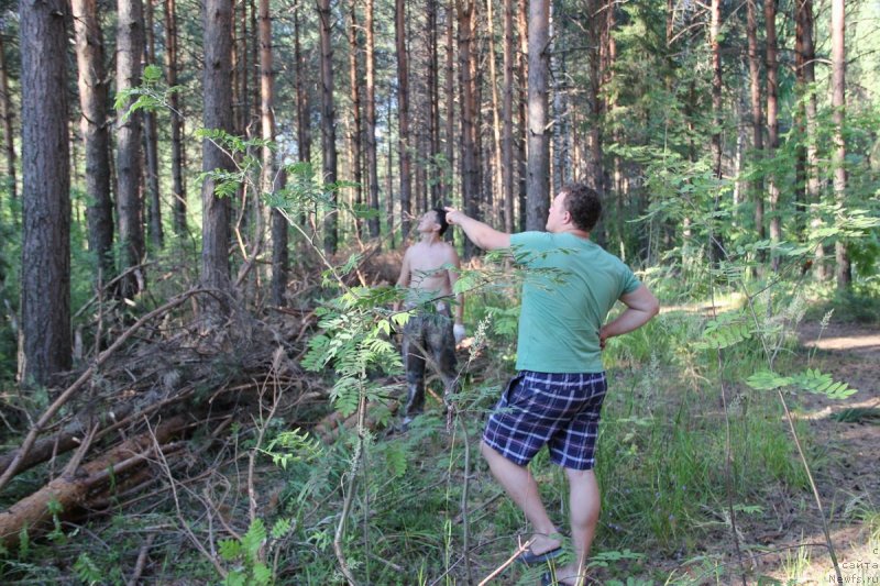 Фотография № 130780