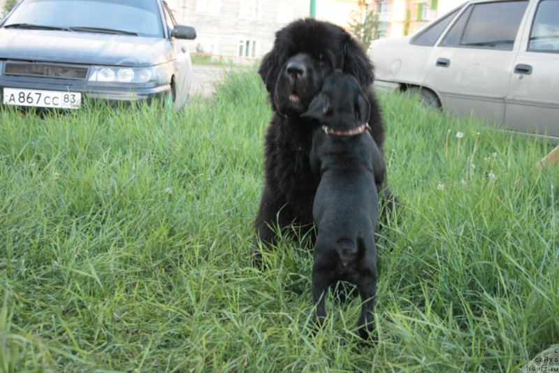 Фотография № 130800