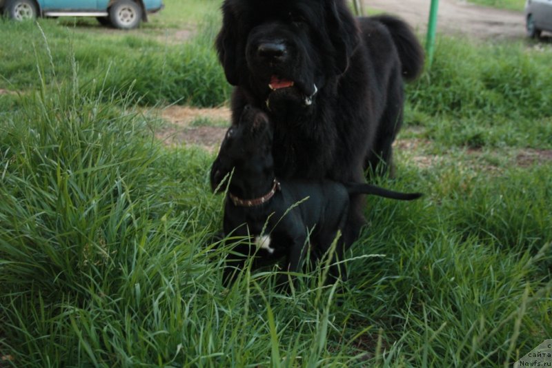 Фотография № 130801