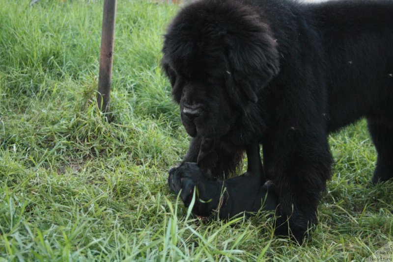 Фотография № 130802