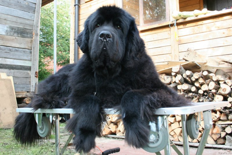 Фотография № 130807