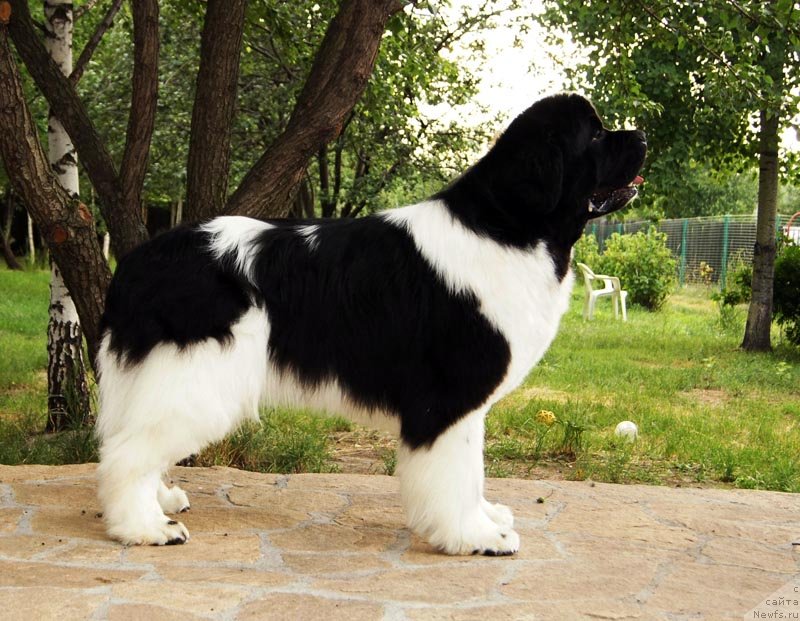 Фотография № 130834