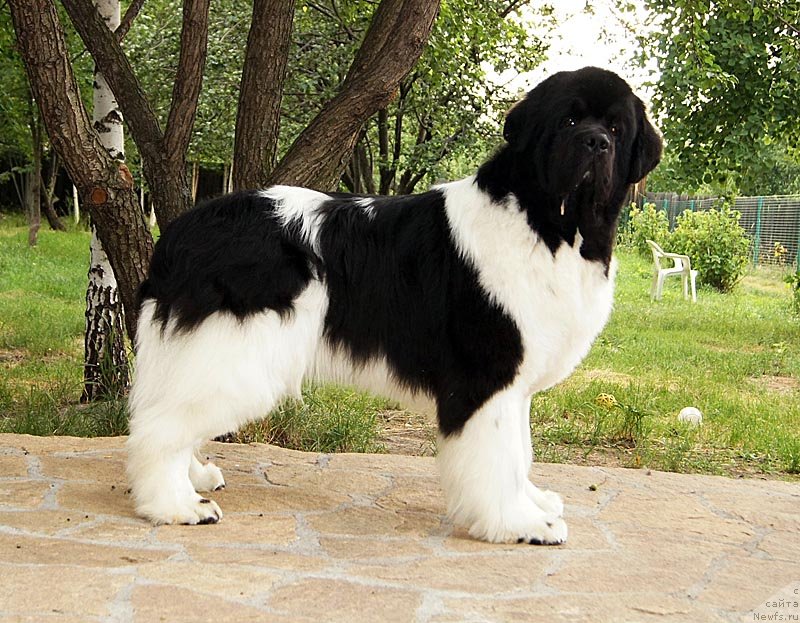 Фотография № 130835