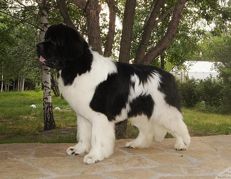 Фотография № 130838