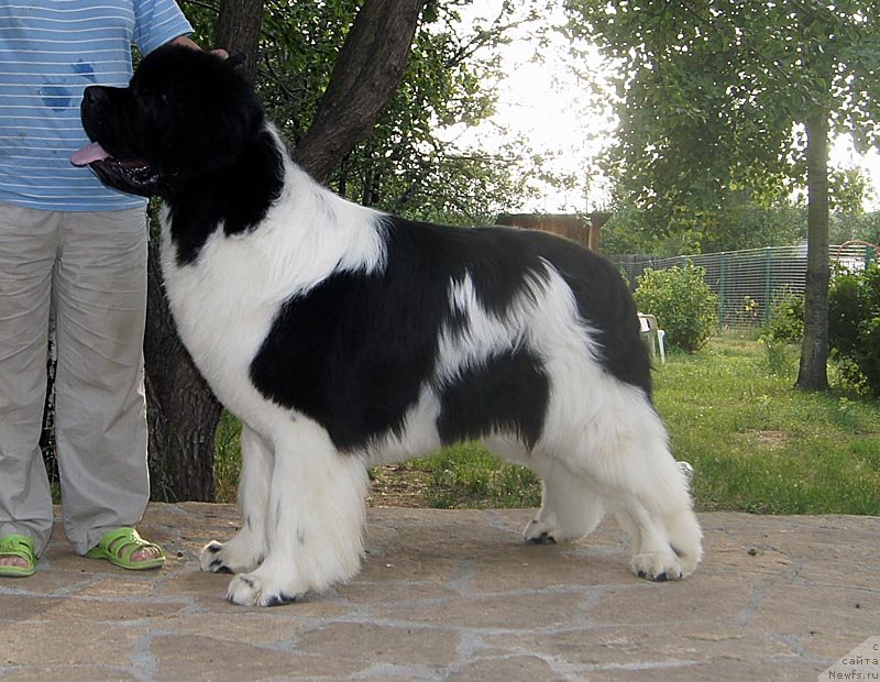 Фотография № 130839