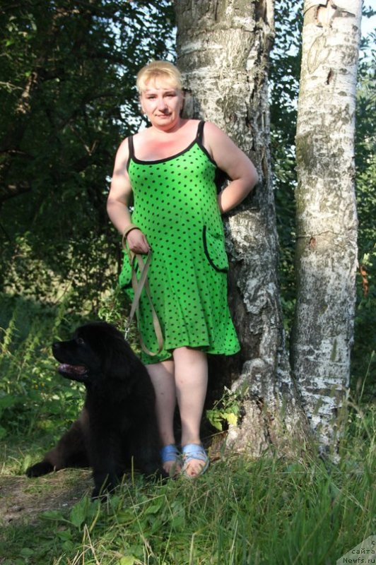 Фото: ньюфаундленд Chernaya Mafia Zoom Into Me (Черная Мафия Зоом Инто Ме)