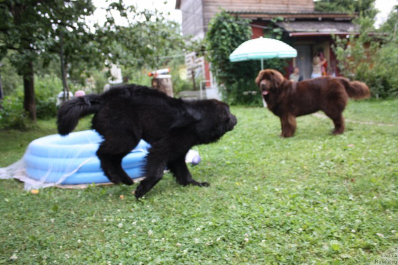 Фотография № 130907