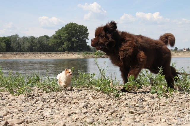 Фотография № 130916