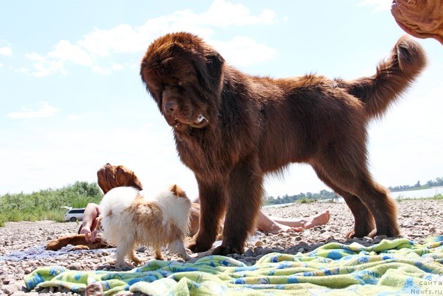 Фотография № 130920