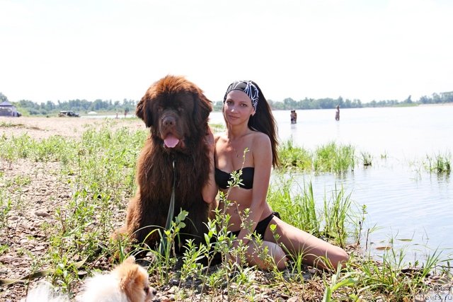 Фотография № 130921