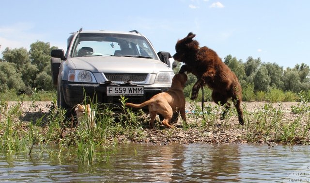 Фотография № 130922