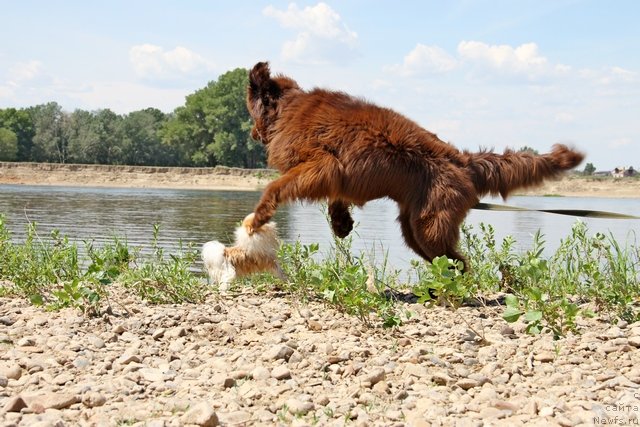 Фотография № 130925