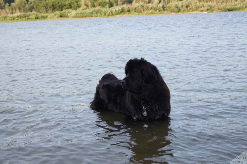 Фотография № 130963