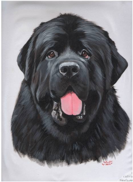 Фотография № 130992