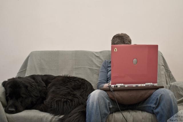 Фото: ньюфаундленд Potap Paris (Потап Парис)