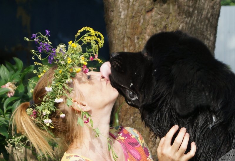 Фотография № 131032