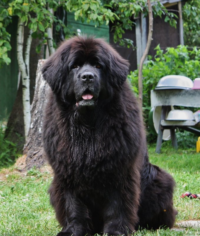 Фотография № 131035