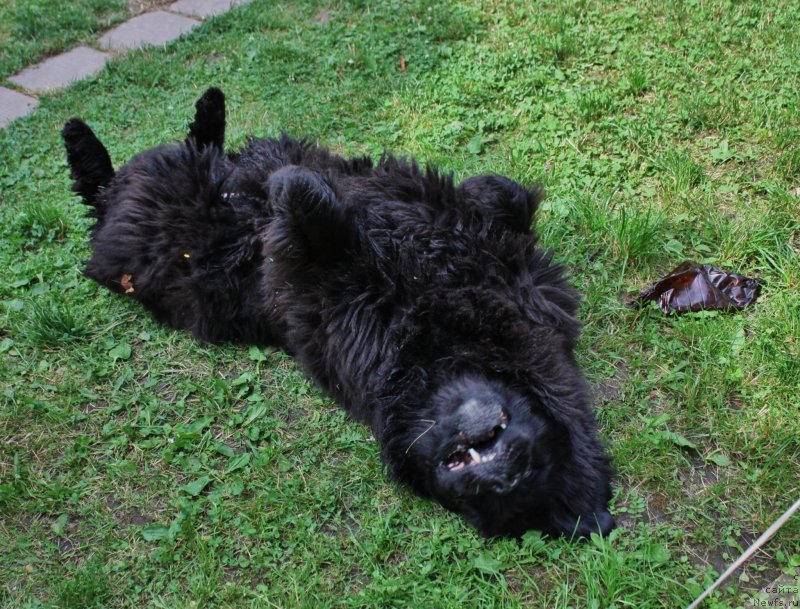 Фотография № 131037