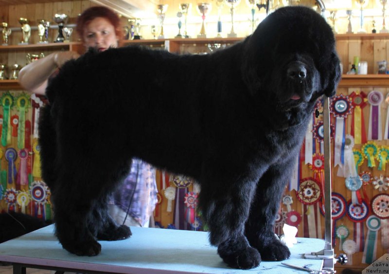 Фотография № 131052