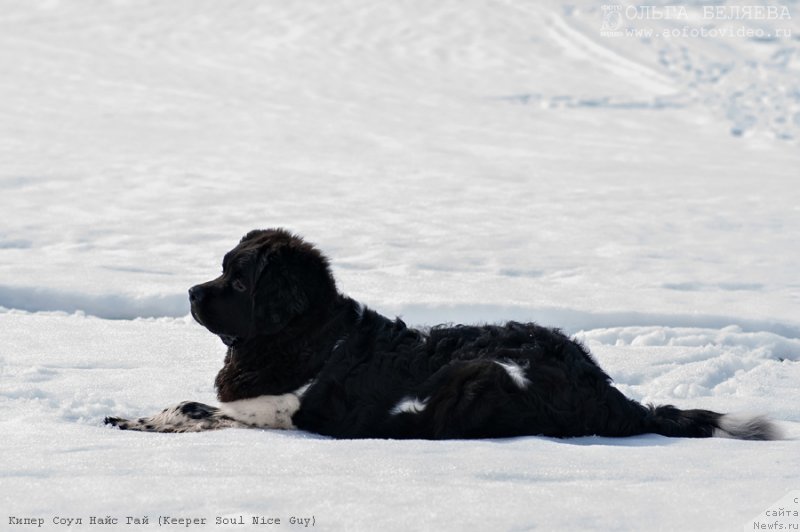 Фотография № 131103