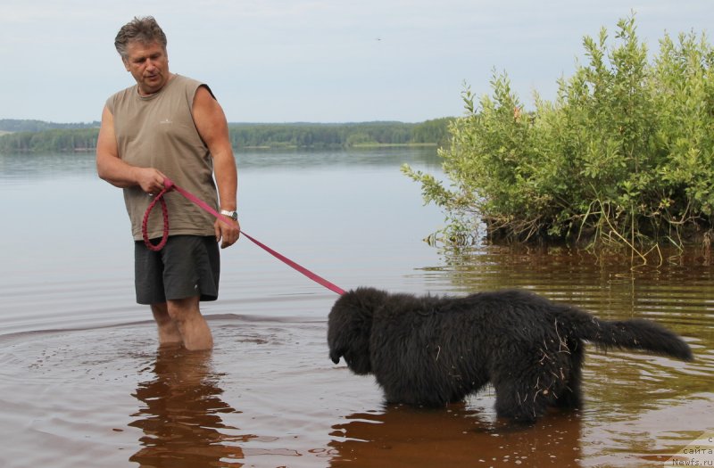 Фотография № 131114