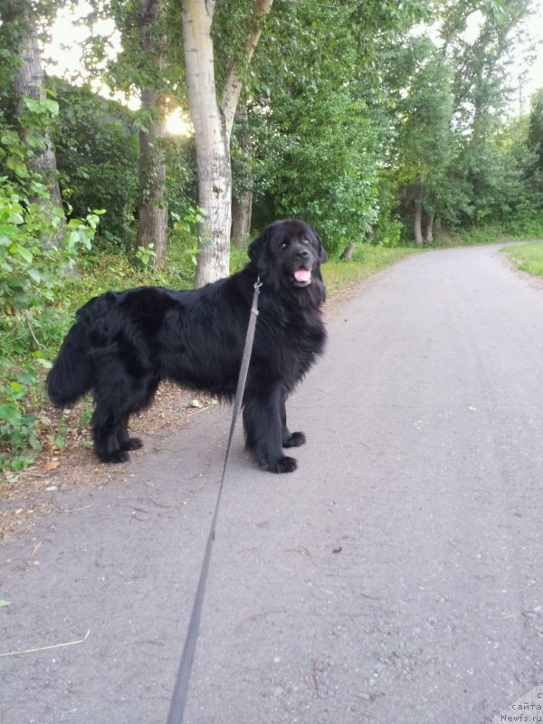 Фотография № 131141