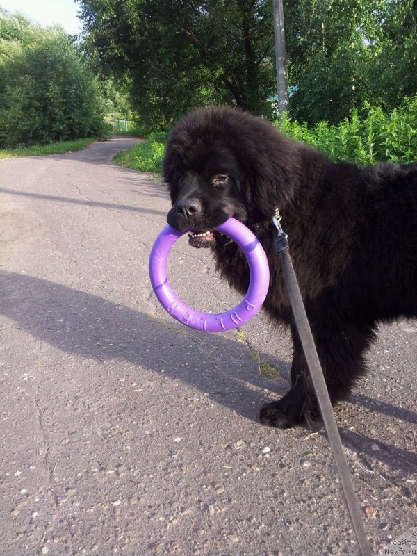 Фотография № 131143