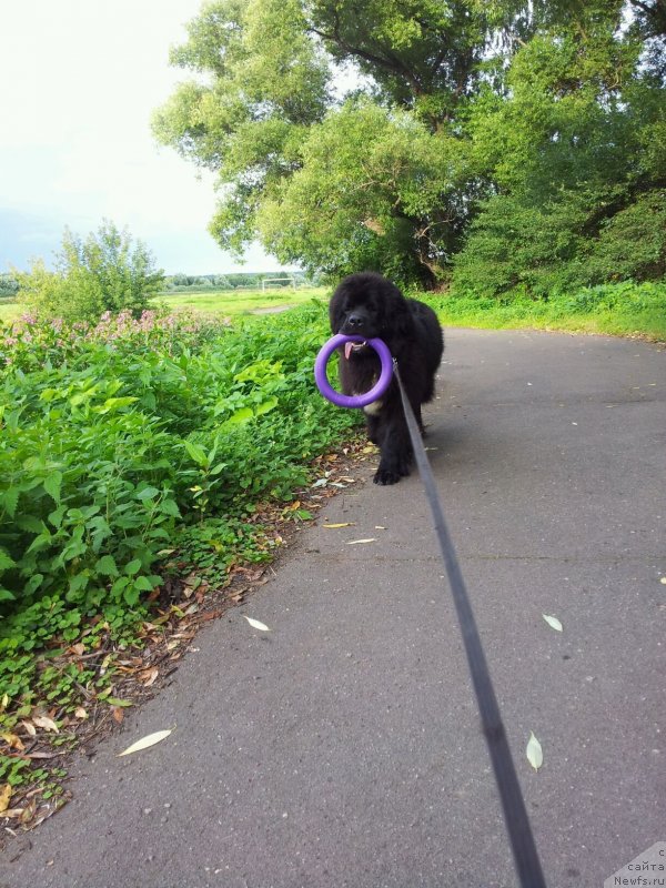 Фотография № 131144