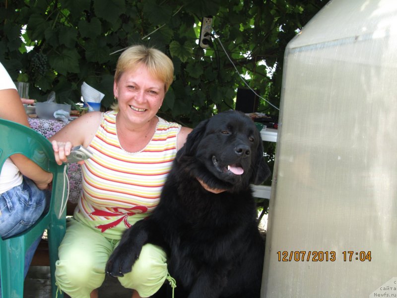 Фото: ньюфаундленд CHinua Dekam Laki Dyevil (Чинуа Декам Лаки Дэвил)