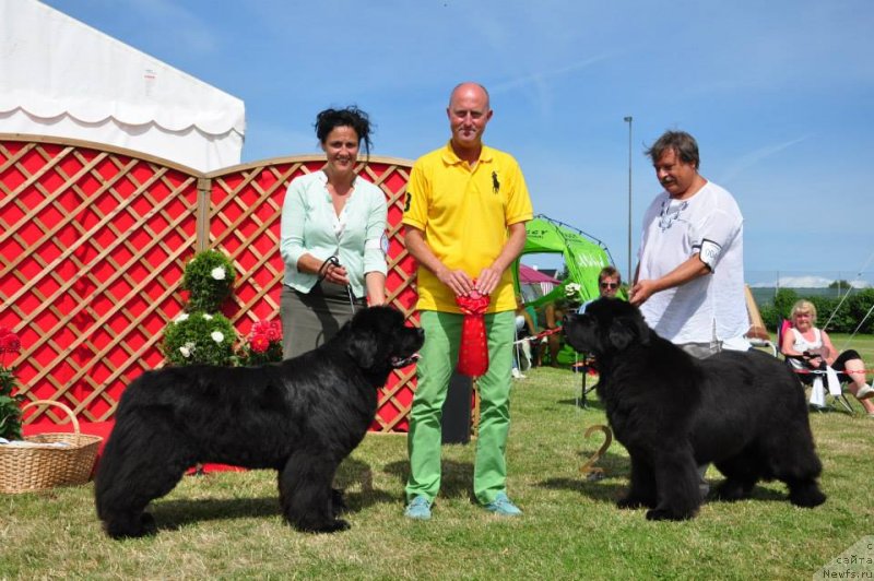 Фотография № 131167