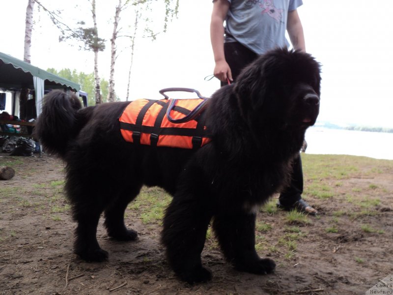 Фотография № 131215