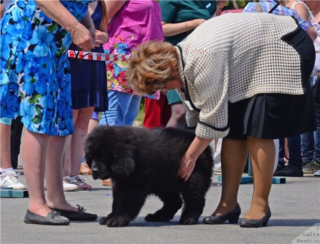 Фотография № 131301